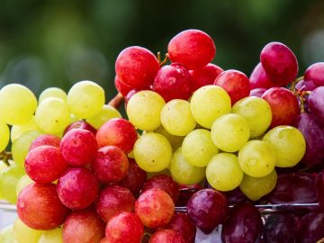 soiuri de struguri pentru vin rosu