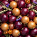 soiuri de gutui rezistente la focul bacterian