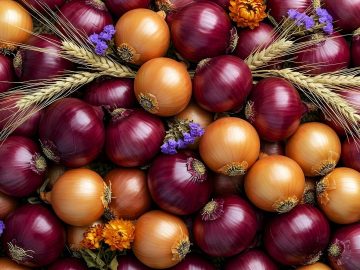 soiuri de gutui rezistente la focul bacterian