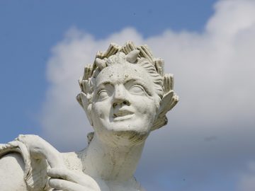 cumintenia pamantului brancusi