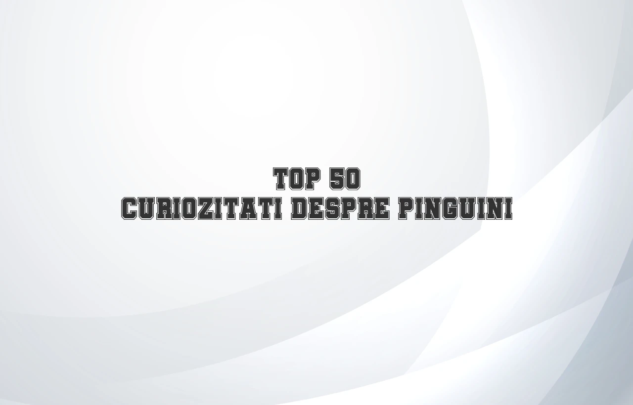 top 50 curiozitati despre pinguini