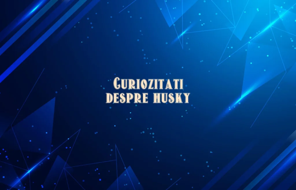 curiozitati despre husky
