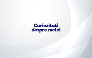 curiozitati despre melci