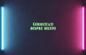 curiozitati despre delfini