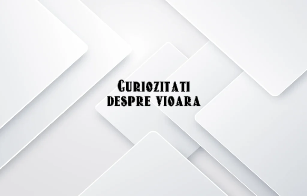 curiozitati despre vioara