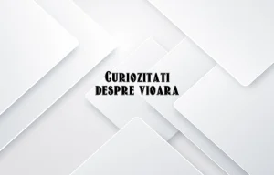 curiozitati despre vioara