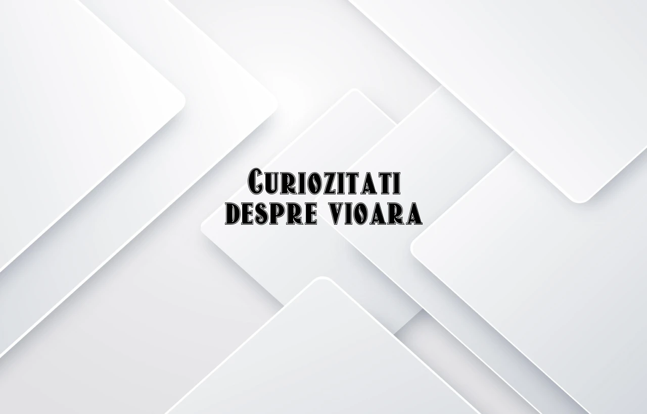 curiozitati despre vioara