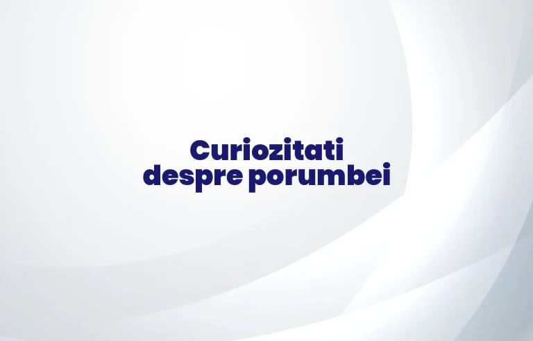 curiozitati despre porumbei
