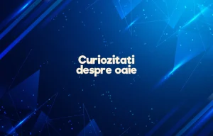 curiozitati despre oaie