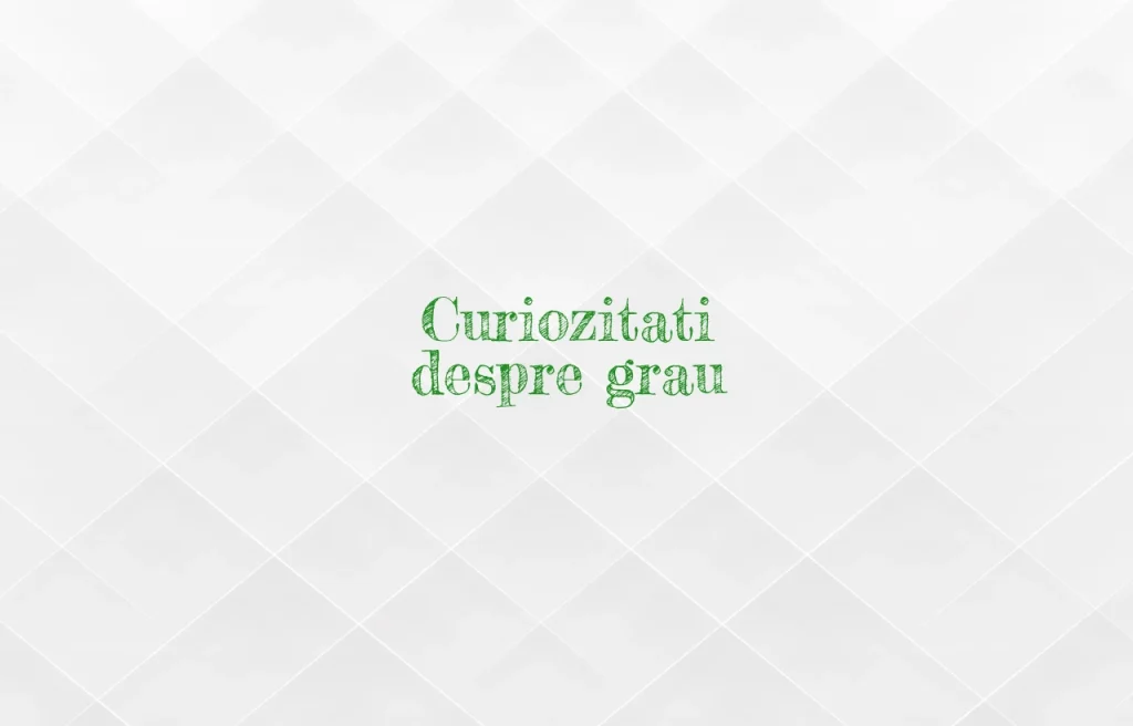 curiozitati despre grau
