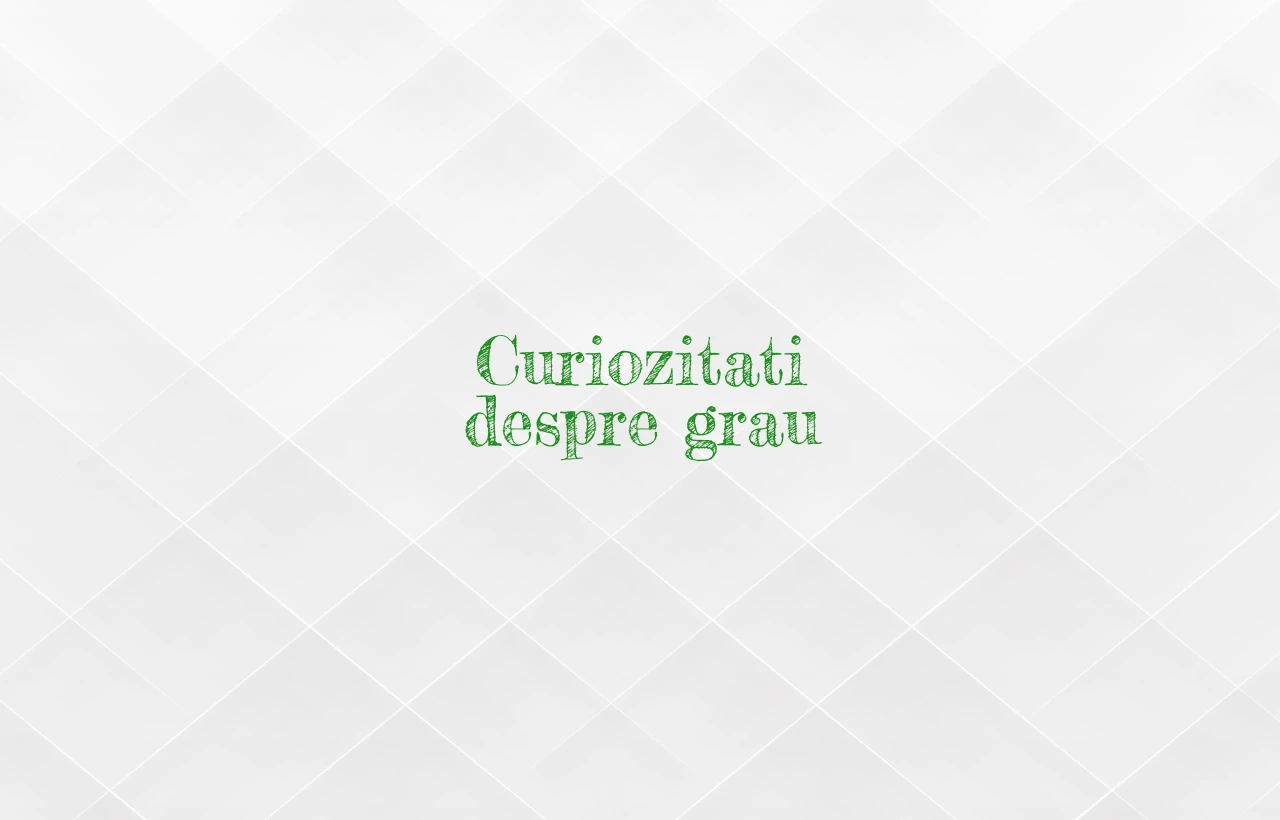 curiozitati despre grau