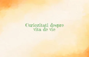 curiozitati despre vita de vie