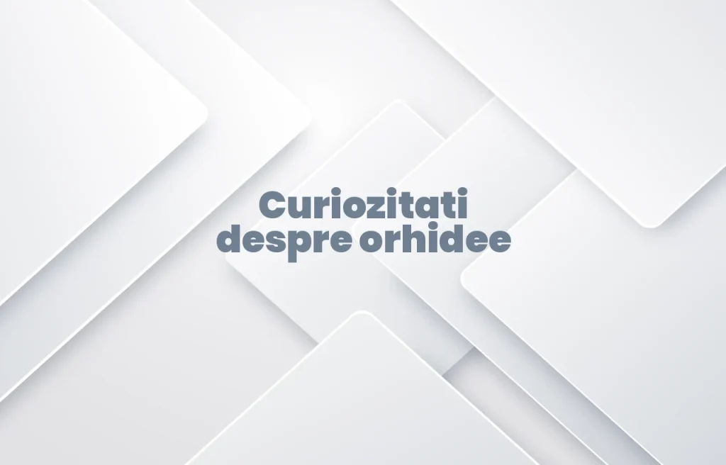 curiozitati despre orhidee