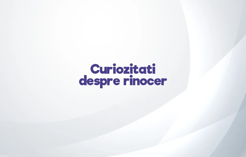 curiozitati despre rinocer