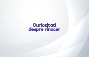 curiozitati despre rinocer