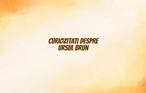 curiozitati despre ursul brun