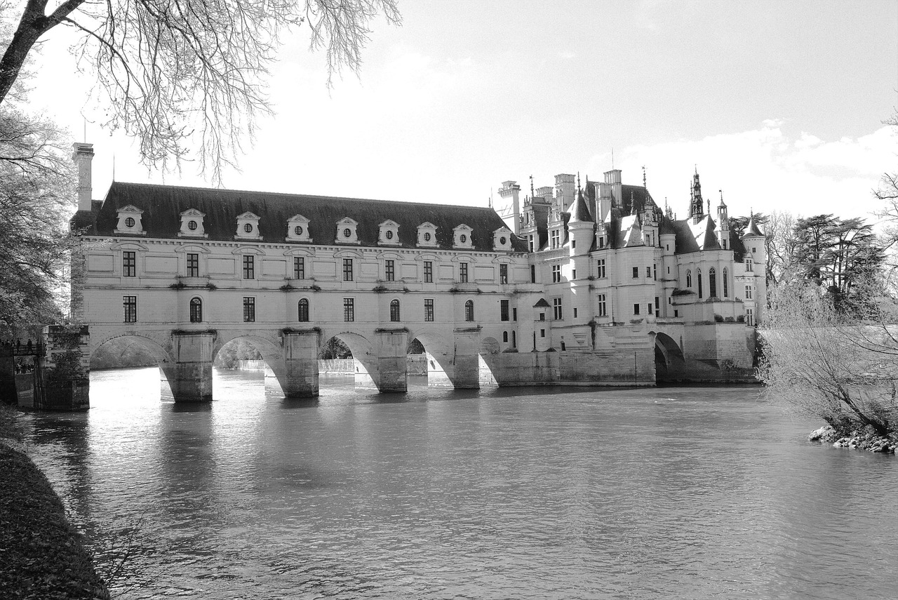 castelul amboise