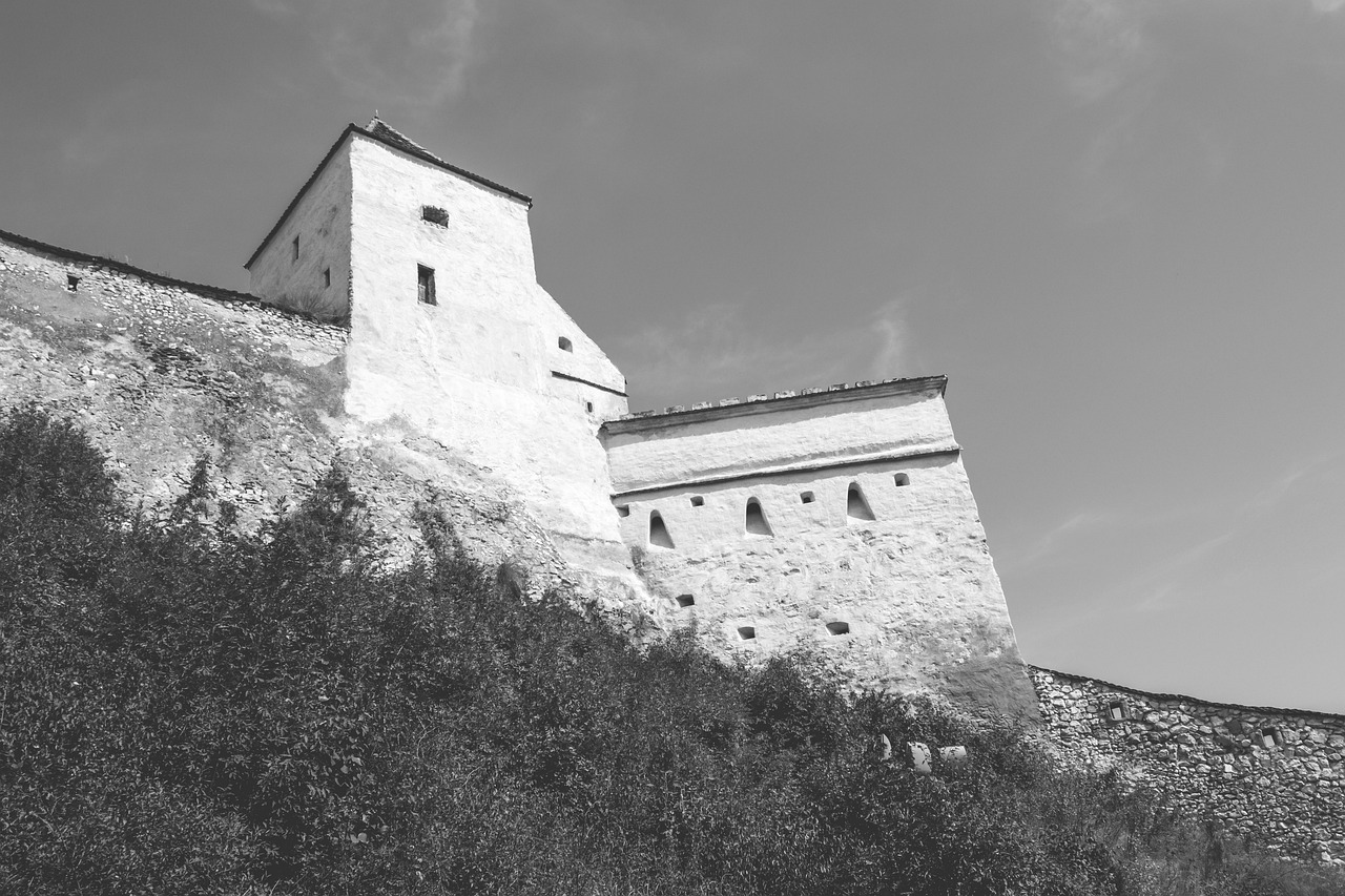 castelul din carpati
