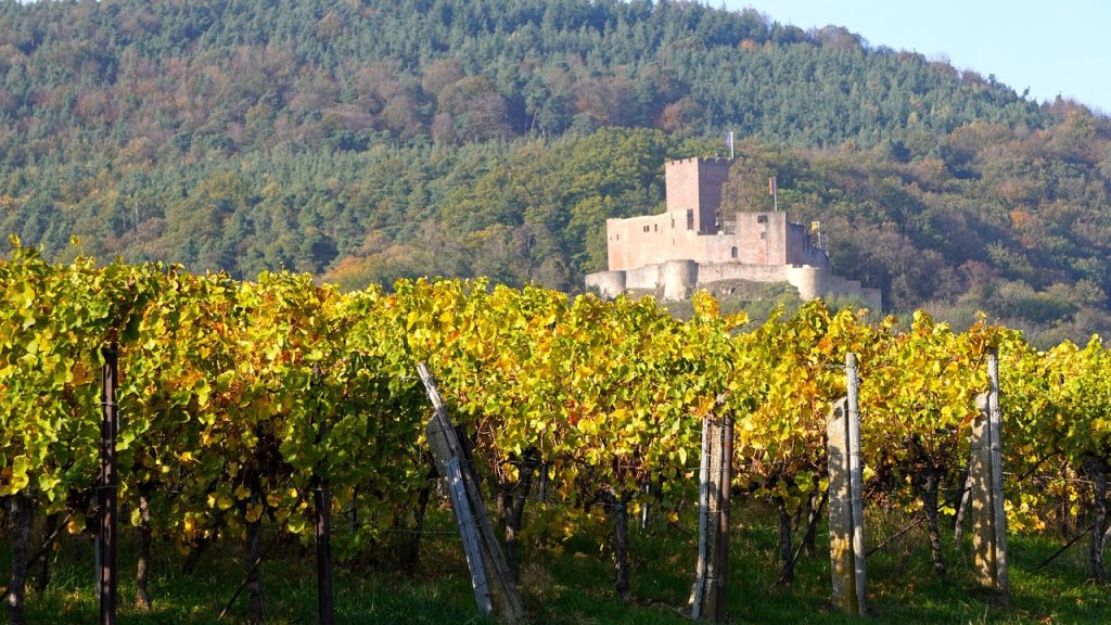 castelul jidvei