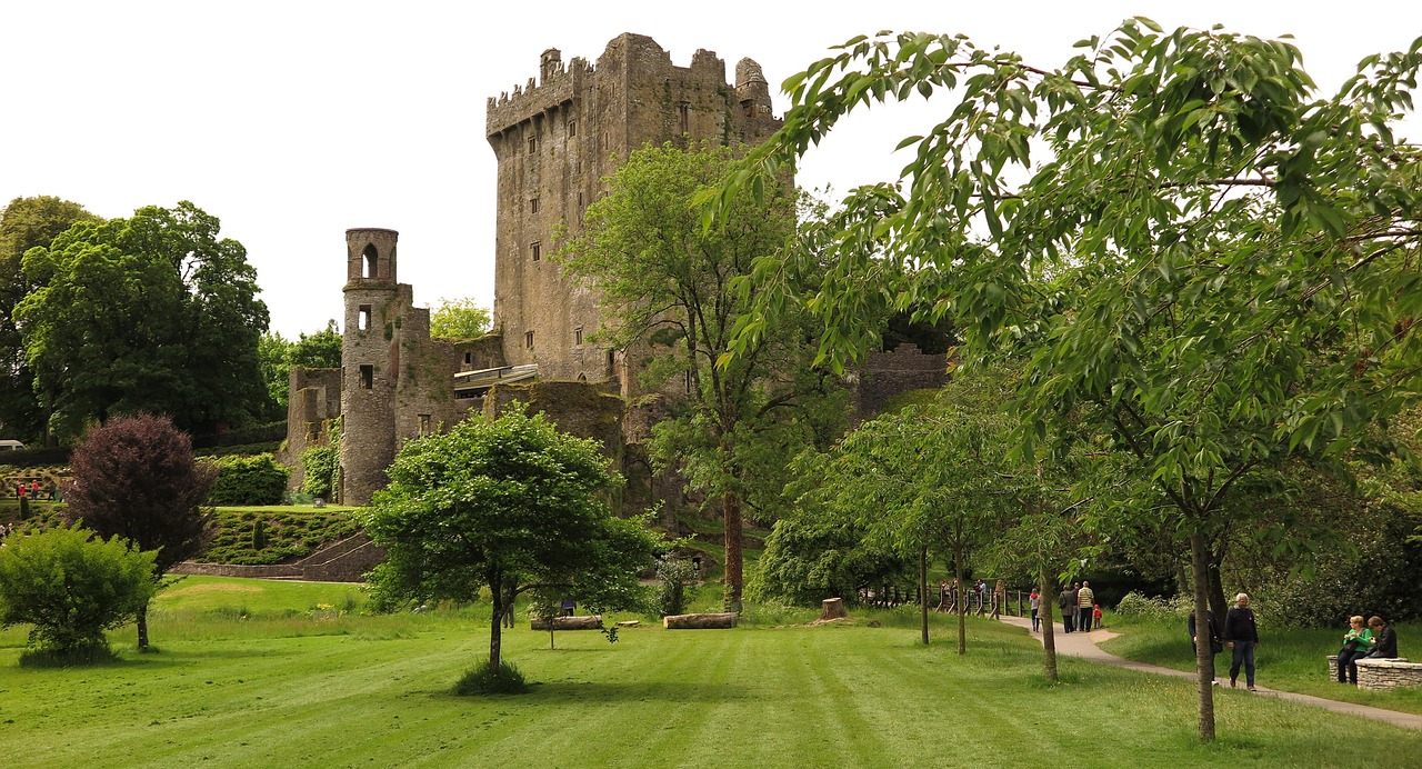 castelul buda